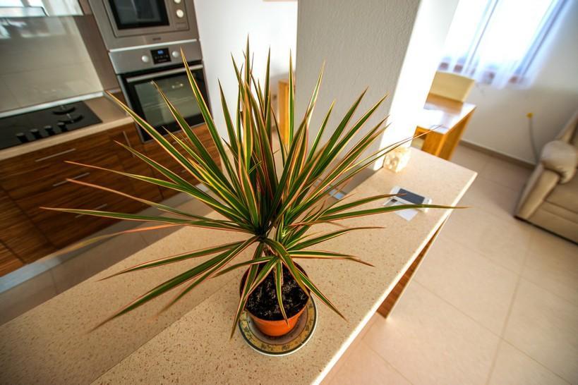Apartment Andjela Stari Grad Kültér fotó